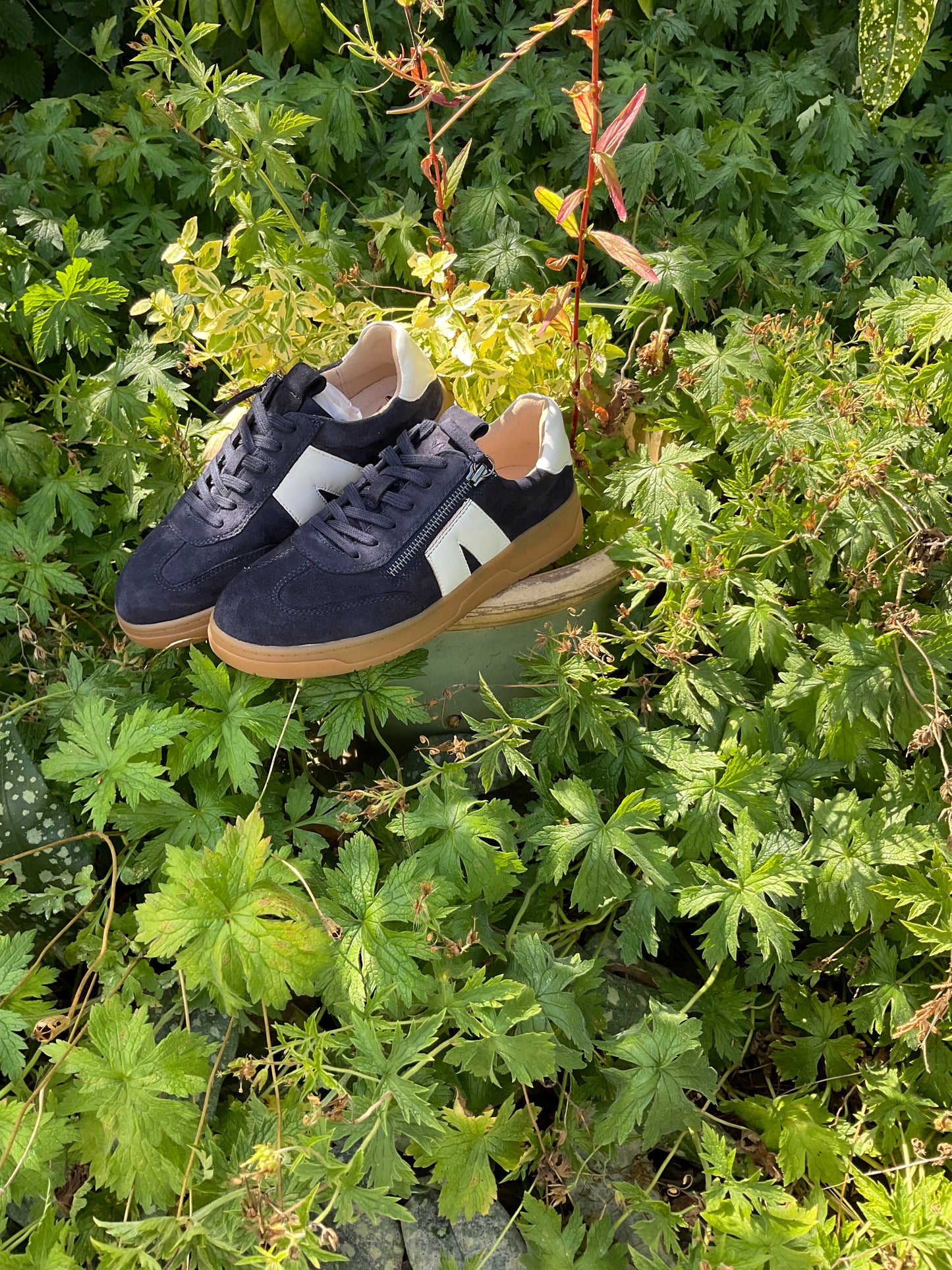 Caprice retro trainees