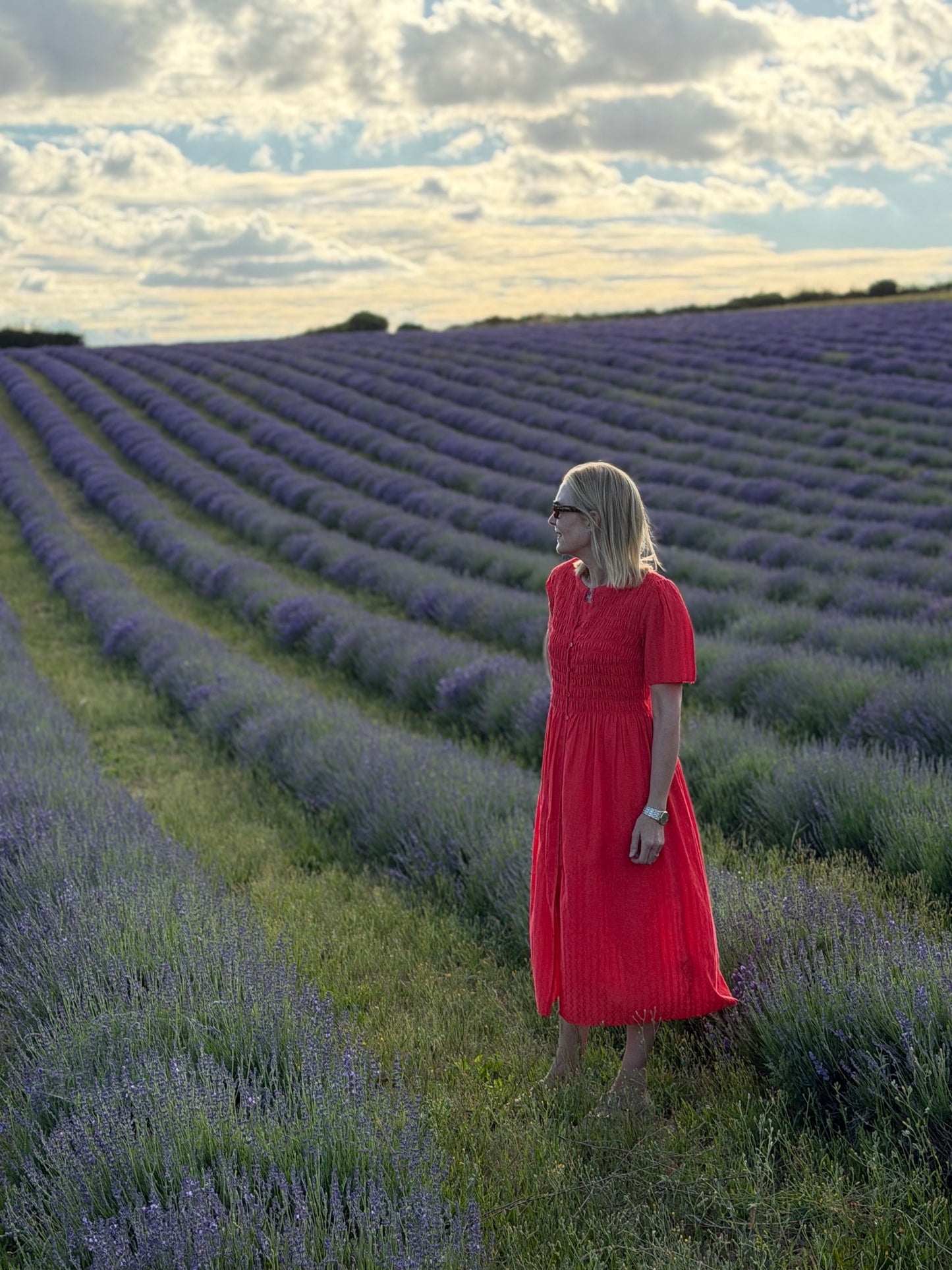 A Visit to Lordington Lavender